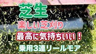 ［芝生］乗用芝刈り機3連リールモアで刈り込みをする。楽しい。最高に気持ち良い。刈り込みしたいのが芝生育成の理由。仕事と考えない。刈り込みは趣味。楽しく刈り込みライフ。芝生 芝刈り機 [upl. by Enneyehs]