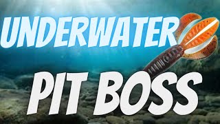 Berkley PIT BOSS Underwater Tank Test  STRIKE KING Swing Jig  Bass Fishing Tackle Tips amp Technique [upl. by Brenn63]