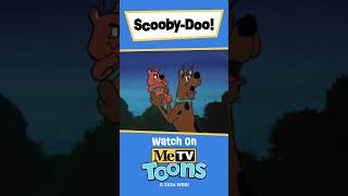 quotScoobyDoo and ScrappyDooquot Theme Song [upl. by Anuahsat120]