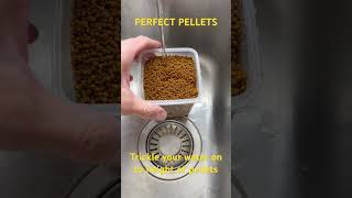 Perfect Pellets for method feeder fishing [upl. by Lipkin]