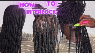 EASY AND SAFEST WAY TO INTERLOCK LOCS WITH A CROCHET NEEDLE LOC MAINTENANCE [upl. by Hewet]