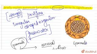 Briefly explain gemmule formation is sponges Write its significance  12  REPRODUCTION IN ORG [upl. by Durand]