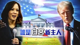 🔴Live／【2024決戰白宮】東森新聞直擊選舉戰場116三0600│2024美國總統選舉開票特別報導 ebcCTime [upl. by Fahy]