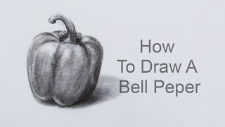 How To Draw A Bell Pepper Step By Step Pencil Sketch Bell Pepper Drawing [upl. by Nylimaj]