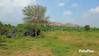 farm land and investment land for sale madurai 9952221874 [upl. by Guzel]