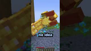 She was new to Minecraft 🤣 [upl. by Aracat]