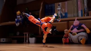 Dragonball  Goku Practices Martial Arts  Stop Motion [upl. by Etnor]