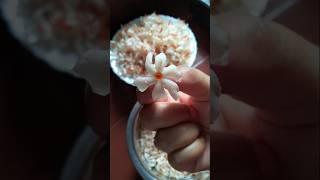 Night Flowering Jasmine recipe shorts youtube youtubeshorts [upl. by Nodnart220]