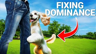 Put an END to Your Dogs Dominant Behavior for Good [upl. by Toomay]