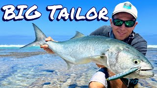 Searching for Huge Tailor  Mid West Beach Fishing [upl. by Torray]