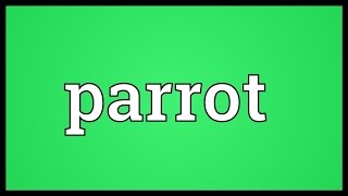 Parrot Meaning [upl. by Ribble]