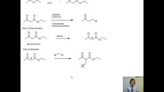 Synthesis of Esters [upl. by Lamarre]