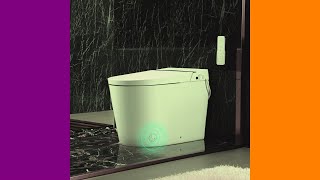 10 Best Tankless smart toilet August 2024 [upl. by Agan]