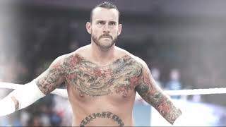 CM Punk quotMiseria Cantare The Beginningquot Arena  Crowd Effects [upl. by Aikam463]