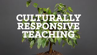 Explainer What is Culturally Responsive Teaching [upl. by Ravahs]