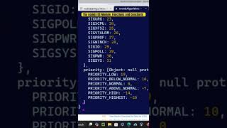 Kali Linux The nodejs OS Module Functions and Constants [upl. by Picco]