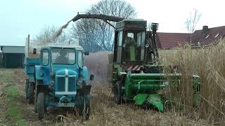 Famulus 36 und Fortschritt E281 mit John Deere Kettengebiss bei der Miscanthusernte [upl. by Carpet]