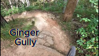 Cornubia MTB Ginger Gully [upl. by Yenrab44]