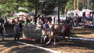 Draft Horse Pull 2013 Deerfield Fair NH Pulling Video 2 [upl. by Lune]