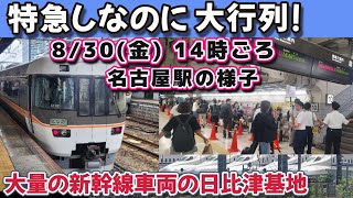 新幹線運休でしなの号自由席に大行列！ 名古屋駅の様子2024年8月30日 14時ごろ [upl. by Llet635]