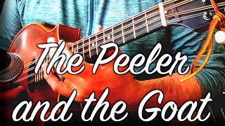 The Peeler and the Goat  solo mandola [upl. by Dyoll261]