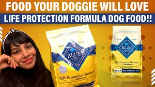 Blue Buffalo Life Protection Formula Dry Dog Food Build and Maintain Strong  My Dog Supplement [upl. by Ikkela]