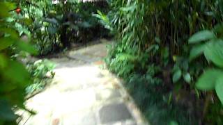 Orchid Garden Restaurant Suan Kluay Mai Ao Nang Krabi Thailand [upl. by Nuhsal972]