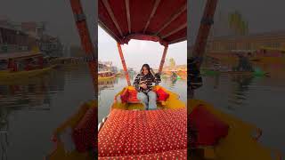 Shikara Ride in Dal lake 🚣 minivlog trending travel kashmir dallake [upl. by Katherin]