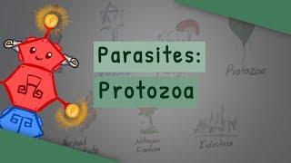 Parasites Protozoa classification structure life cycle [upl. by Us281]