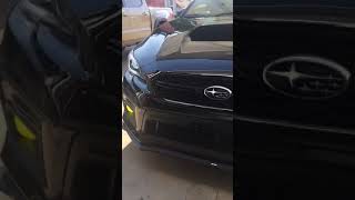 Diode Dynamics C Light install on 2018 Subaru WRX Premium [upl. by Quennie998]