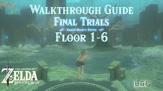 Breath of the Wild  EX Trial of the Sword DLC Final Trials Guide 16 [upl. by Mcclimans836]