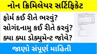 Non Creamy Layer Certificate Gujarat  Non Creamy Form Kevi Rite Bharvu  નોન ક્રિમીનલ સર્ટિફિકેટ [upl. by Davenport]