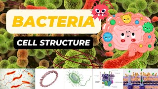 Bacterial Cell Structure [upl. by Kumar]