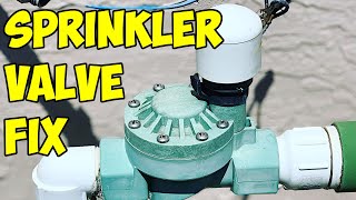 How to Replace a Sprinkler Valve [upl. by Shantha442]