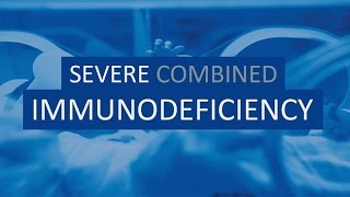 Severe Combined Immunodeficiency [upl. by Berkley]