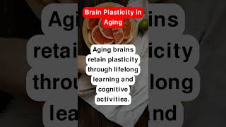 Brain Plasticity in Aging [upl. by Alvera]