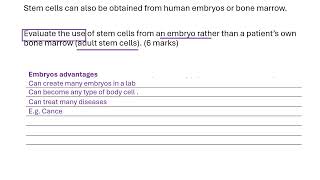 Stem cells 2  6 mark question [upl. by Ariec]