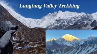 Best Trekking in Nepal Langtang valley Trek [upl. by Lombard]