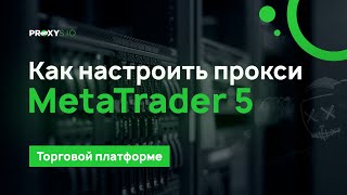 Как настроить прокси в MetaTrader 5 [upl. by Ayikan609]