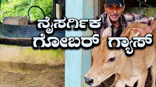 How Does Biogas Plant Work  Gobar Gas Is The Safest And The Best Renewable Energy  Kannada Vlogs [upl. by Jesse88]