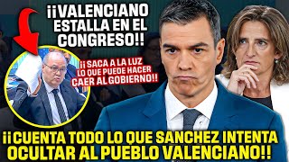 Un Diputado VALENCIANO ¡DEJA EN SHOCK AL CONGRESO😱¡REVELA LO QUE CALLA SÁNCHEZ y RIBERA de la DANA [upl. by Rramal164]