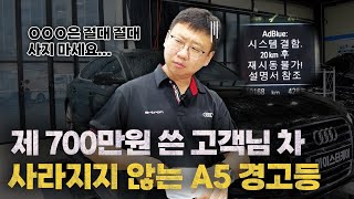 결국 SCR 촉매 DPF를 교환 했습니다 요소수 들어가는 디젤 중고차 절대 구입 하지 마세요 [upl. by Zehe673]