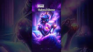 Weed Music music beats instrumental ringtone remix automobile [upl. by Joaquin]