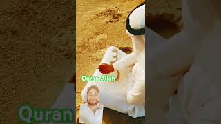 Meetha Meetha Hai Mere Muhammad Ka Naam [upl. by Yrrah393]