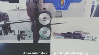 CS805H automatic cable cutampstrip machine for multicores cablecablewirestrippingmachine [upl. by Eyk37]