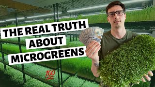 The REAL TRUTH About Growing Microgreens For Profit [upl. by Nidnal]