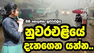 නුවරඑළියේ දැනගෙන යන්න  nuwara eliya travel places travel with udeshi [upl. by Edya]