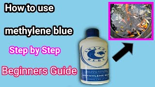 HOW TO USE METHYLENE BLUE FOR FISH TREATMENT RPL Aquatics [upl. by Oilasor]