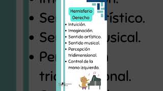 shorts Funciones de los hemisferios cerebrales [upl. by Erinna]