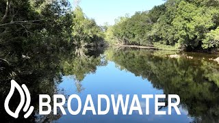 Broadwater Camping Area  Abergowrie State Forest Queensland [upl. by Ykcub]